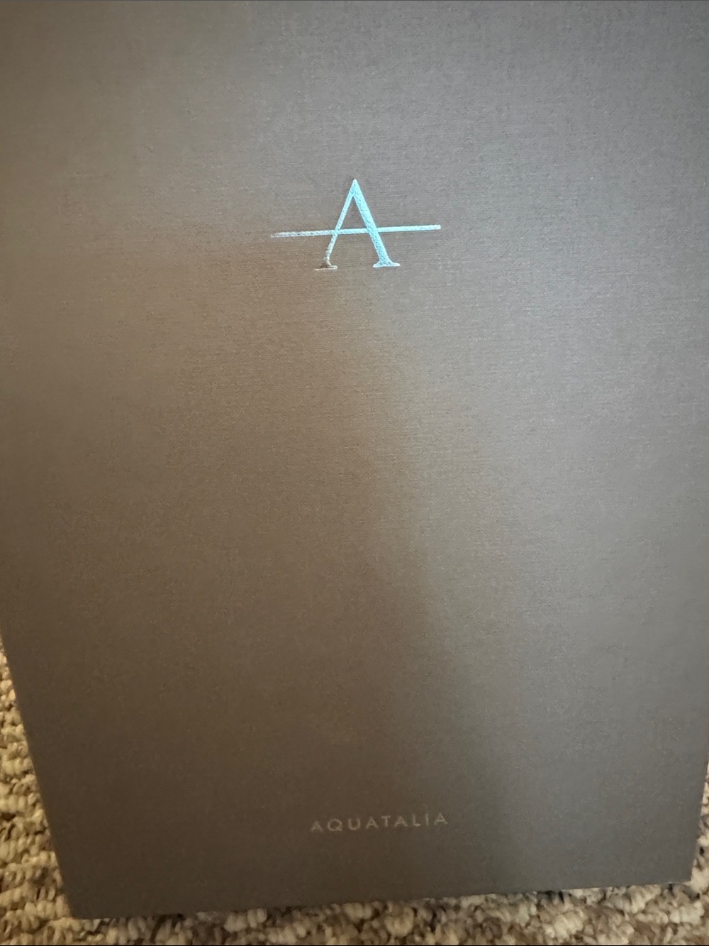 Aquatalia Gray Presentation Box with Pale Aqua Logo